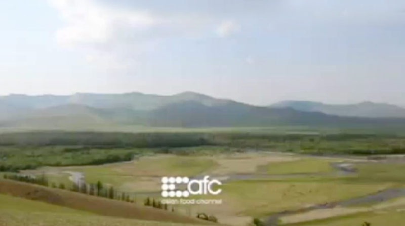 AFC: THE BIG BREAK - TV PROGRAM